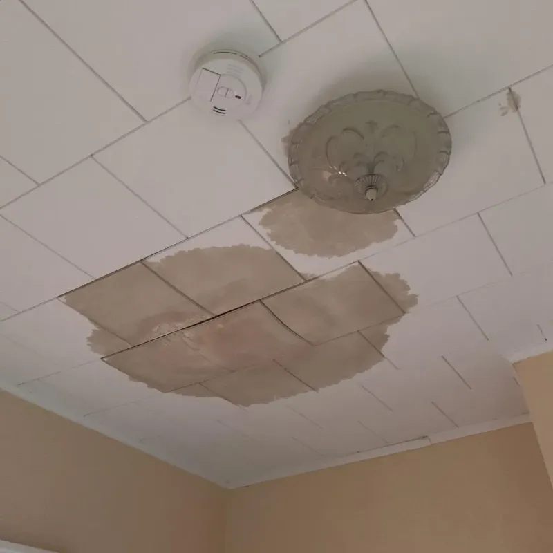 Ceiling Water Damage Repair in Bushyhead, OK