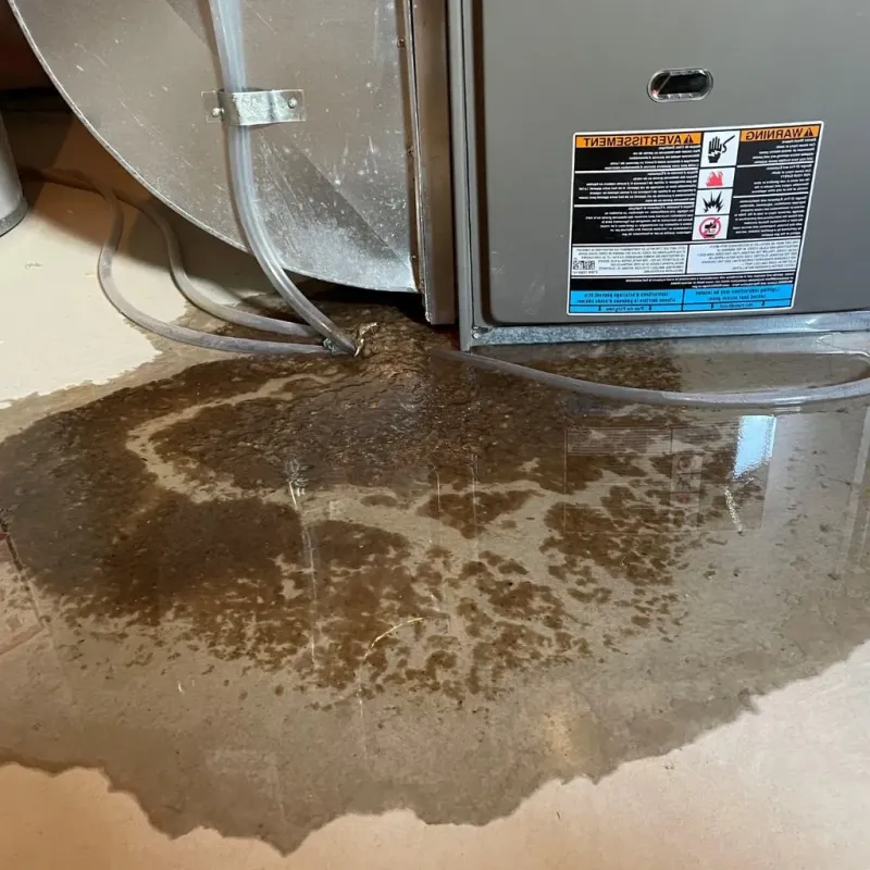 Pipe Burst and Leak Restoration in Bushyhead, OK