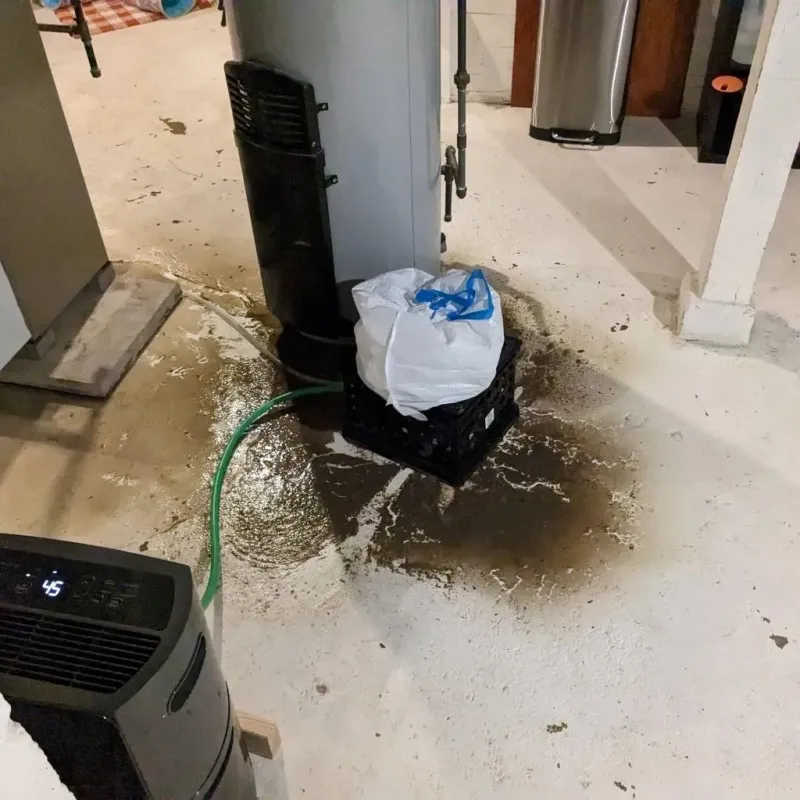 Sewage Backup Cleanup Service in Bushyhead, OK